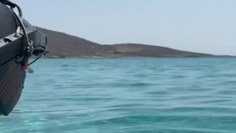 A wonderful day in the water