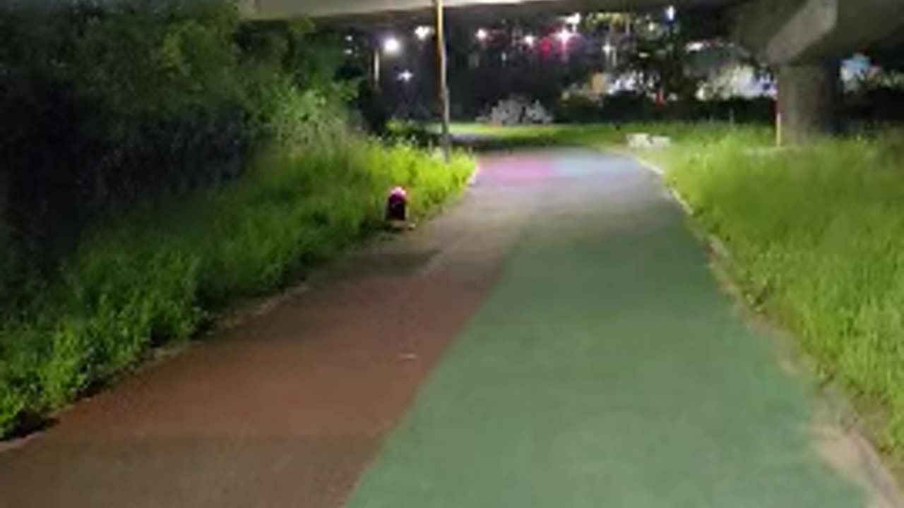 어떻게 들어갔지?