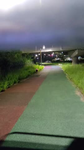 어떻게 들어갔지?