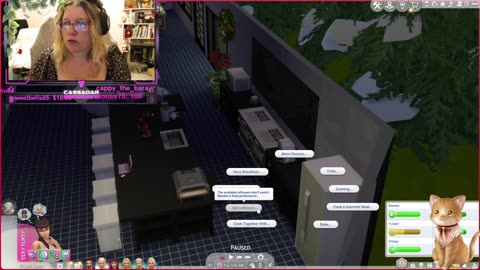 Chicken Live Stream