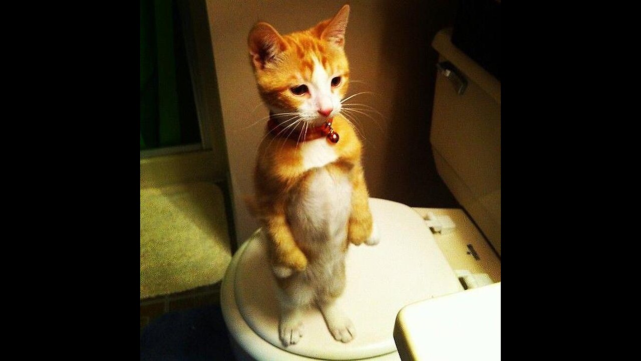 I've Got Issues - Marvel Cosmic Invasion