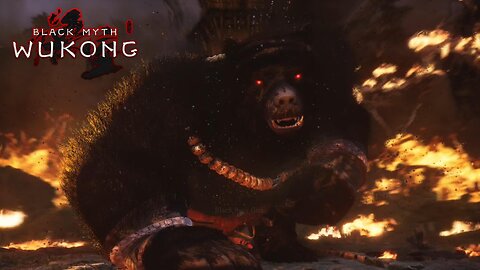 Black Myth Wukong Black Bear Guai Boss Fight (PlayStation 5) Gameplay
