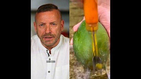 From Dog Hunters to “Cult Hunters”