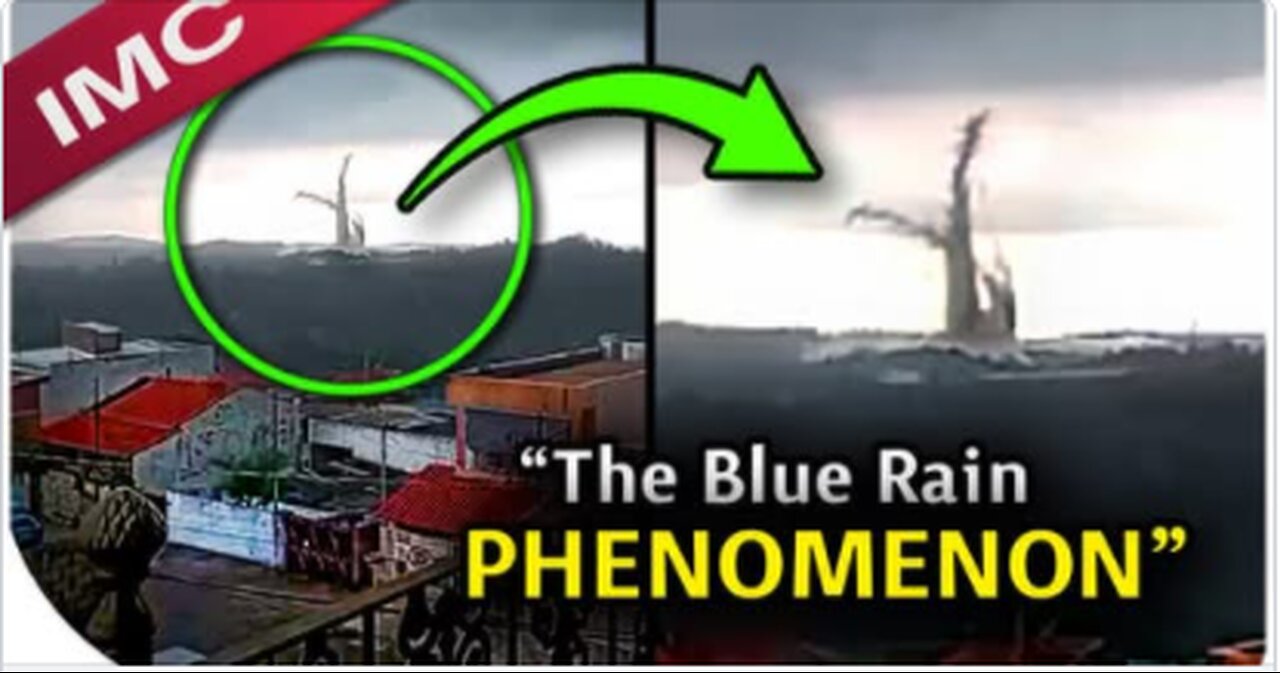 "NO WAY" Videos SO BIZARRE You'll QUIT The Internet - THAT IS IMPOSSIBLE