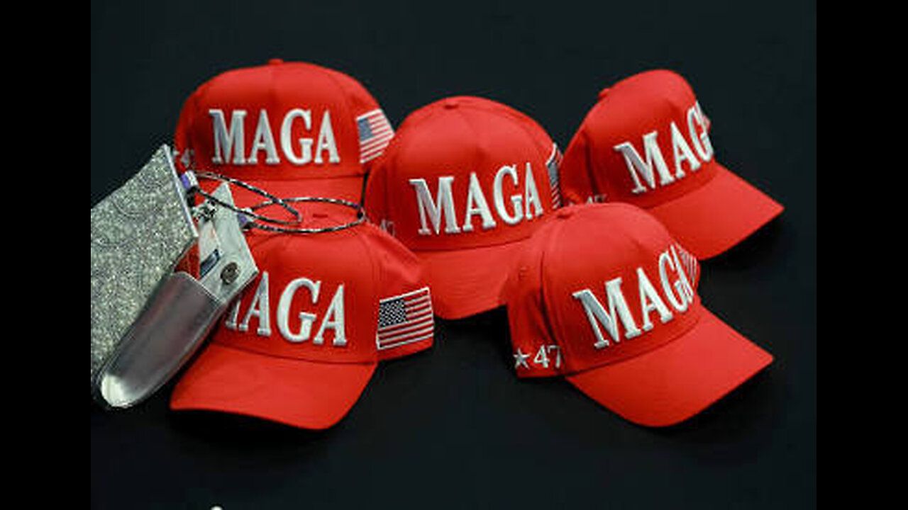 MAGA Force First 100 Days