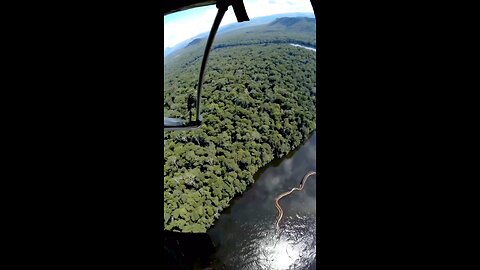 Deep in the Amazon, there are snakes so large they bend biology.