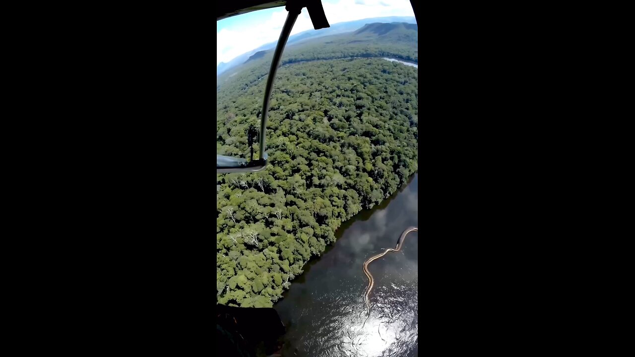 Deep in the Amazon, there are snakes so large they bend biology.