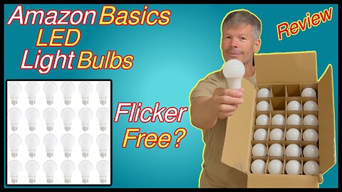 Amazon Basics LED Light Bulbs Review | Are They a Good Deal?
