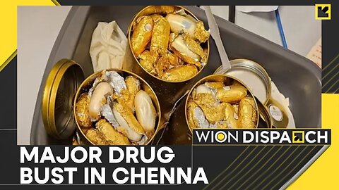 Chennai Drug Bust: Contrabands Worth ₹60 Crore Seized; NCB, Customs Conduct Joint Operations | WION