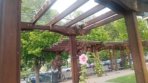 New VLOG camera, ONN travel vlogger stick