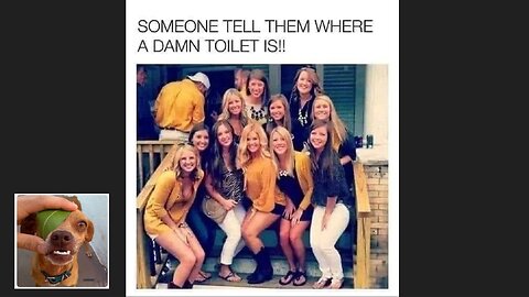 Meme compilation Episodes 296-300.