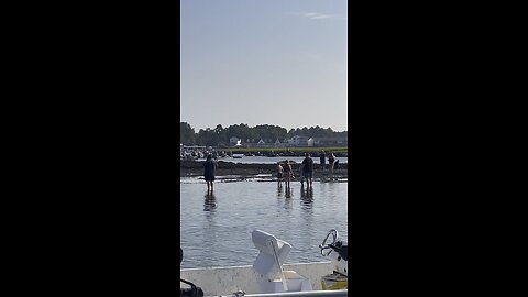 100th Pony Swim In Chincoteague, VA