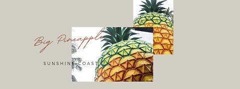 Big Pineapple 🍍