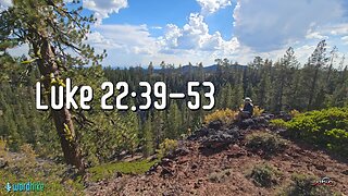 Luke 22:39-53, Bible Reading in Nature, BSB