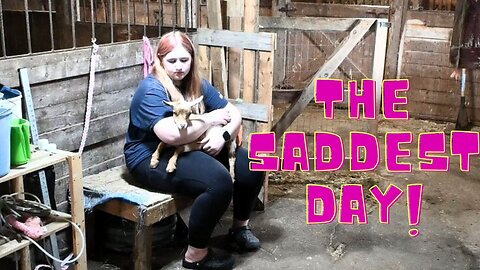 Saying GOODBYE To The GOATS!
