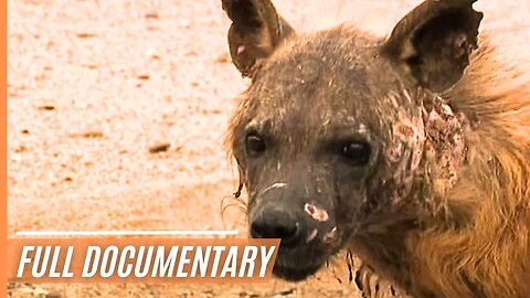 Namibia’s Wild Skeleton Coast - Dangerous and Wild | Full Documentary