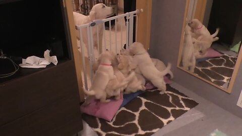mother is teaching the baby