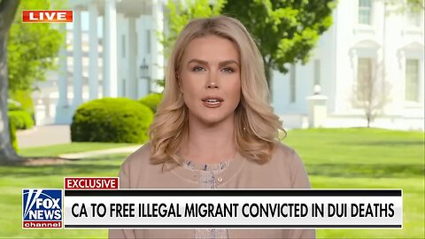 Karoline Leavitt issues warning to illegal immigrants: Trump 'will not tolerate' this