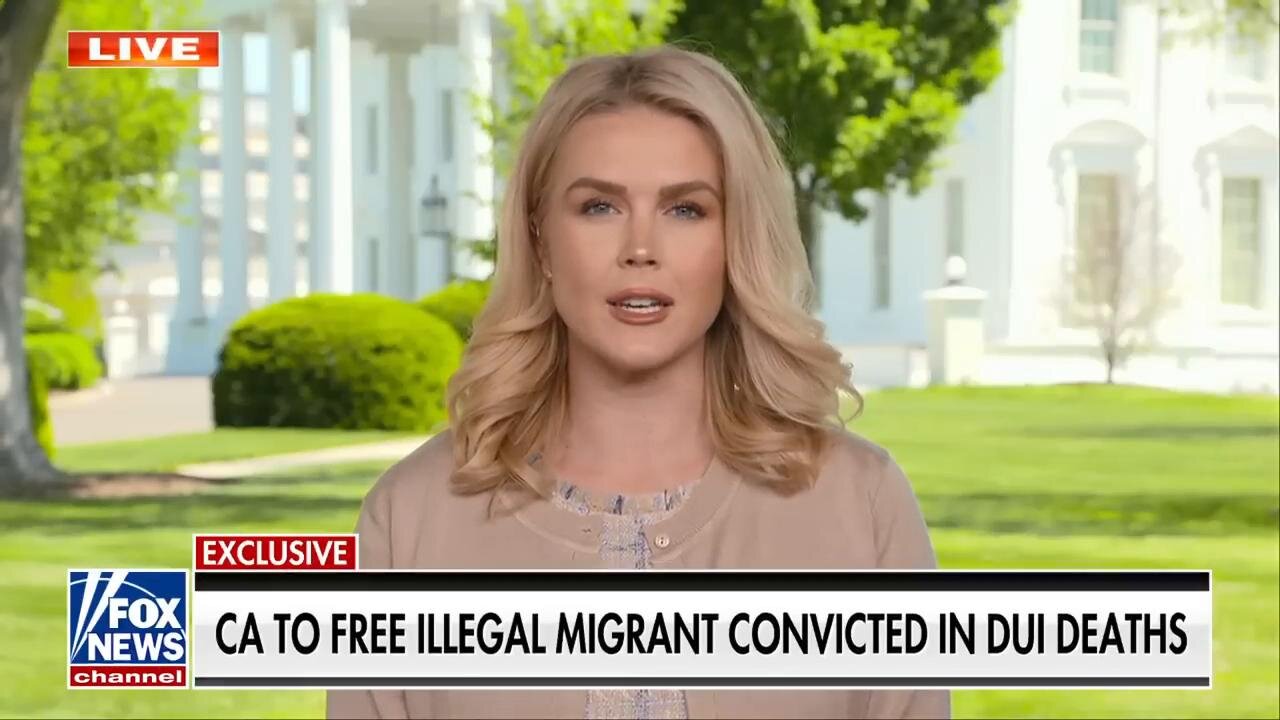 Karoline Leavitt issues warning to illegal immigrants: Trump 'will not tolerate' this