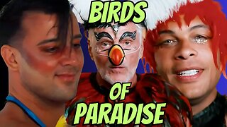 BIRDS OF PARADISE! | Bachelor In Paradise Season 10 Episode 5