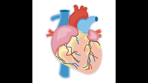 How To Take Care Of Your Heart- With DR. Natasha McBride