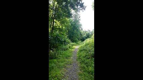 Under a bridge in Fishkill , NY.
