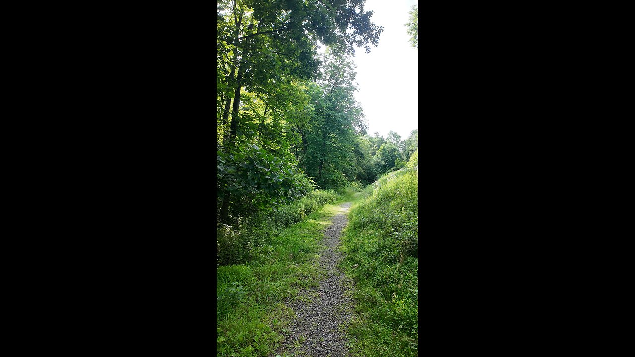 Under a bridge in Fishkill , NY.