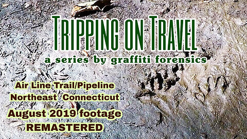 Tripping on Travel: August 2019, REMASTER, Air Line Trail, CT