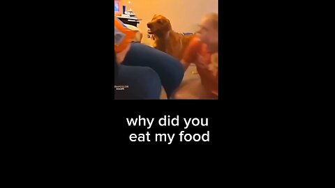 why did you eat my food 😂🤪🐶