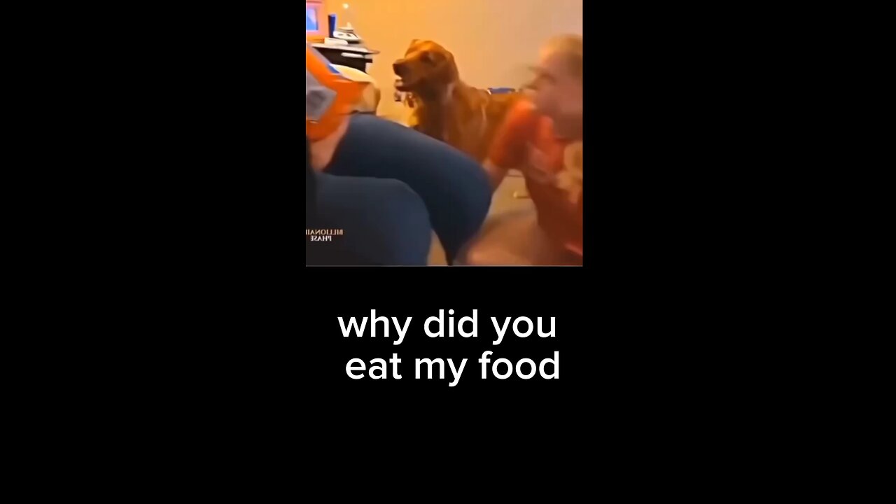 why did you eat my food 😂🤪🐶