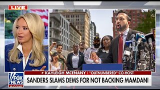 Kayleigh McEnany: Mamdani Doesn't Translate Beyond N