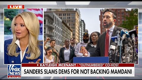Kayleigh McEnany: Mamdani Doesn't Translate Beyond NYC