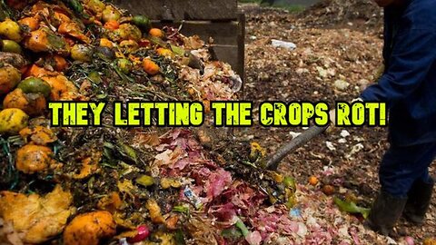 "Crops Left to Rot Amid Food Shortages on October 9th, 2022"