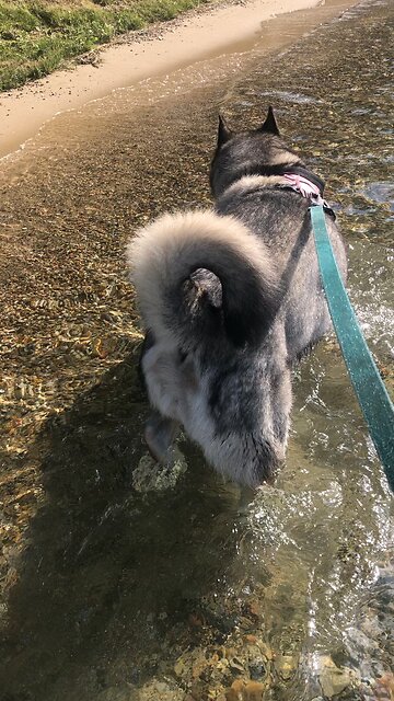 Saturday July 12, God who takes care of me will supply all your needs.