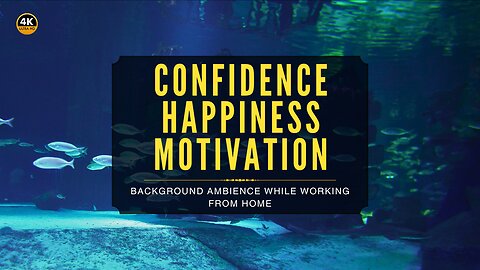 Confidence, Happiness & Motivation | 8 Min Aquarium Calm | Relaxing 4K Music for Work & Study Break