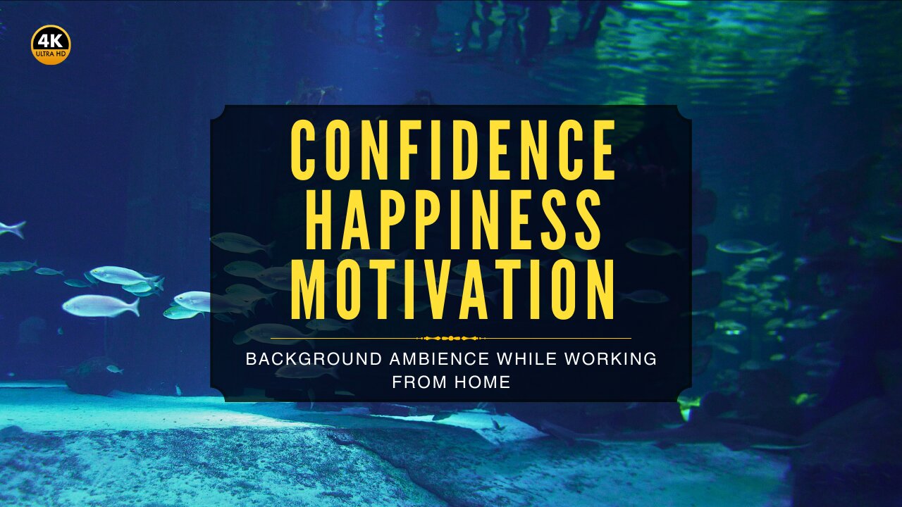 Confidence, Happiness & Motivation | 8 Min Aquarium Calm | Relaxing 4K Music for Work & Study Break