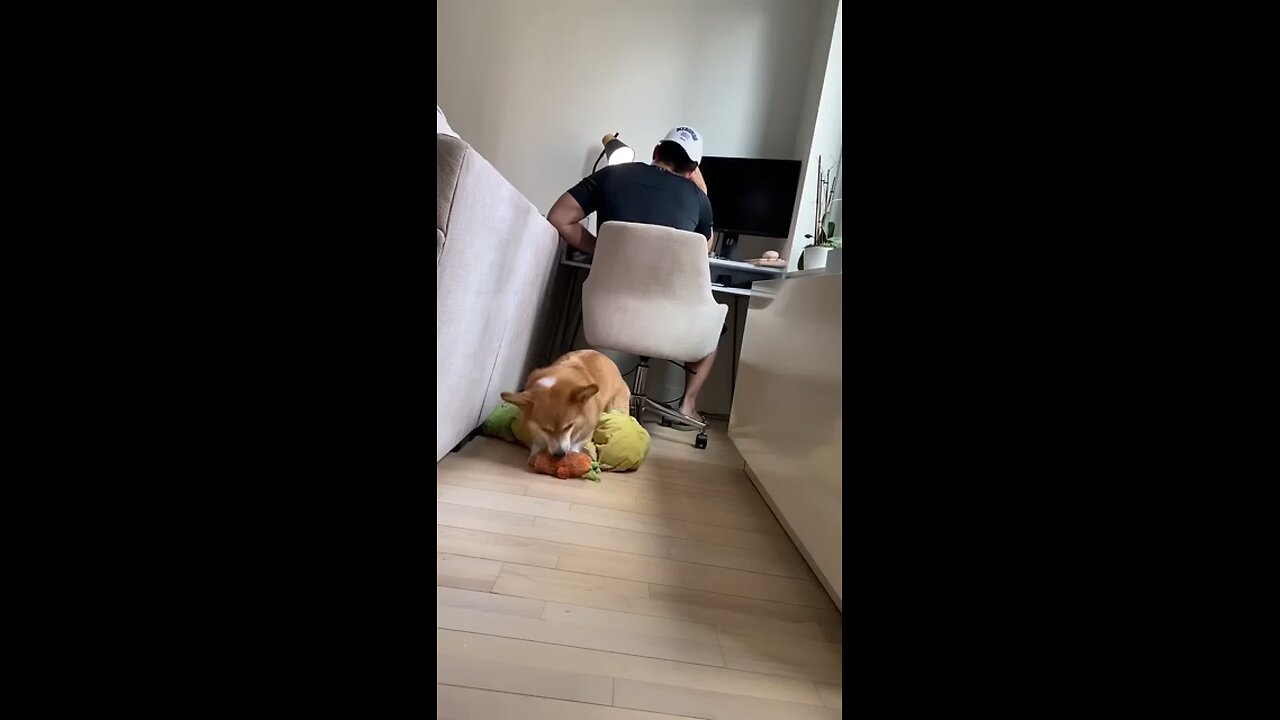 please like and support🥰