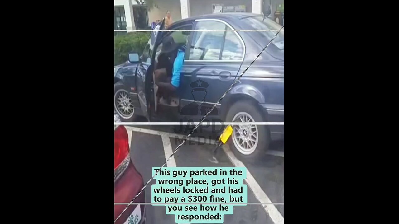 Rate this guy Brian.. car damage vs ticket #viralvideo #japd