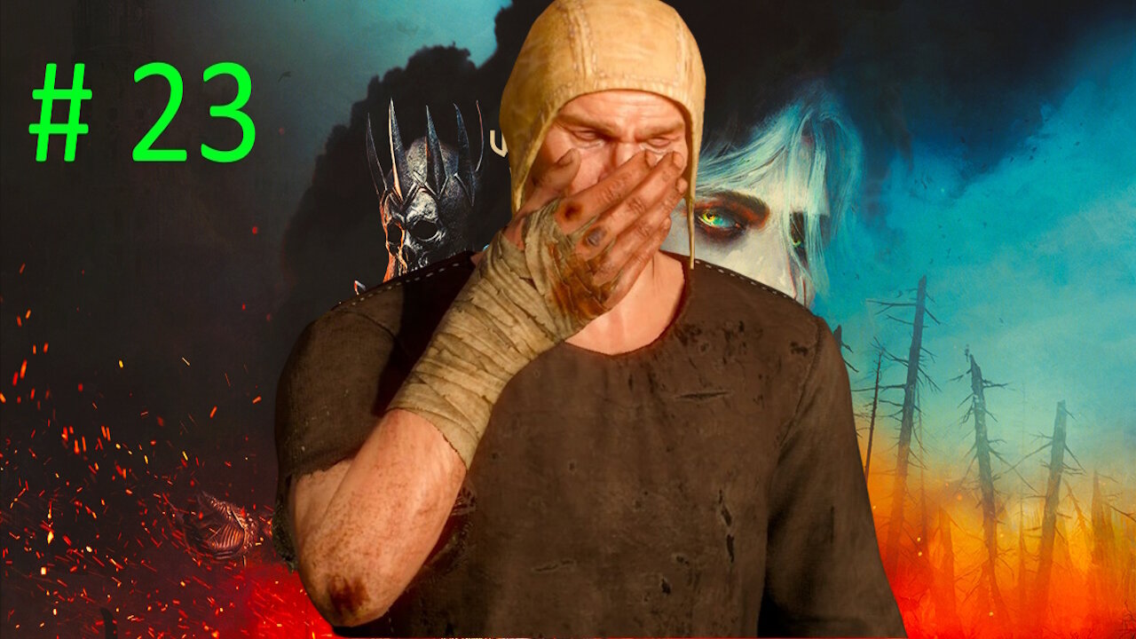 Let's Play Witcher 3 BLIND # 23 ⭐ Heatherton ⭐