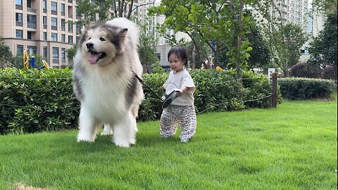 He escaped the big dog