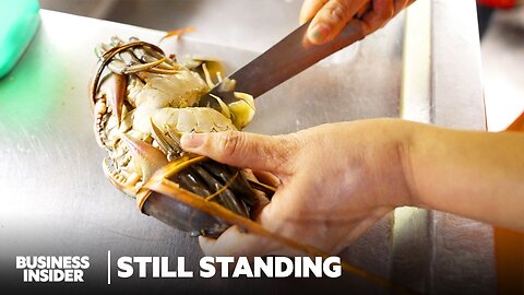 Why Indonesia's Mud Crab Industry Could Go Extinct | Still Standing | Business Insider