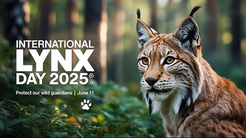 International Lynx Day 2025: Why Lynx Matter & How You Can Help