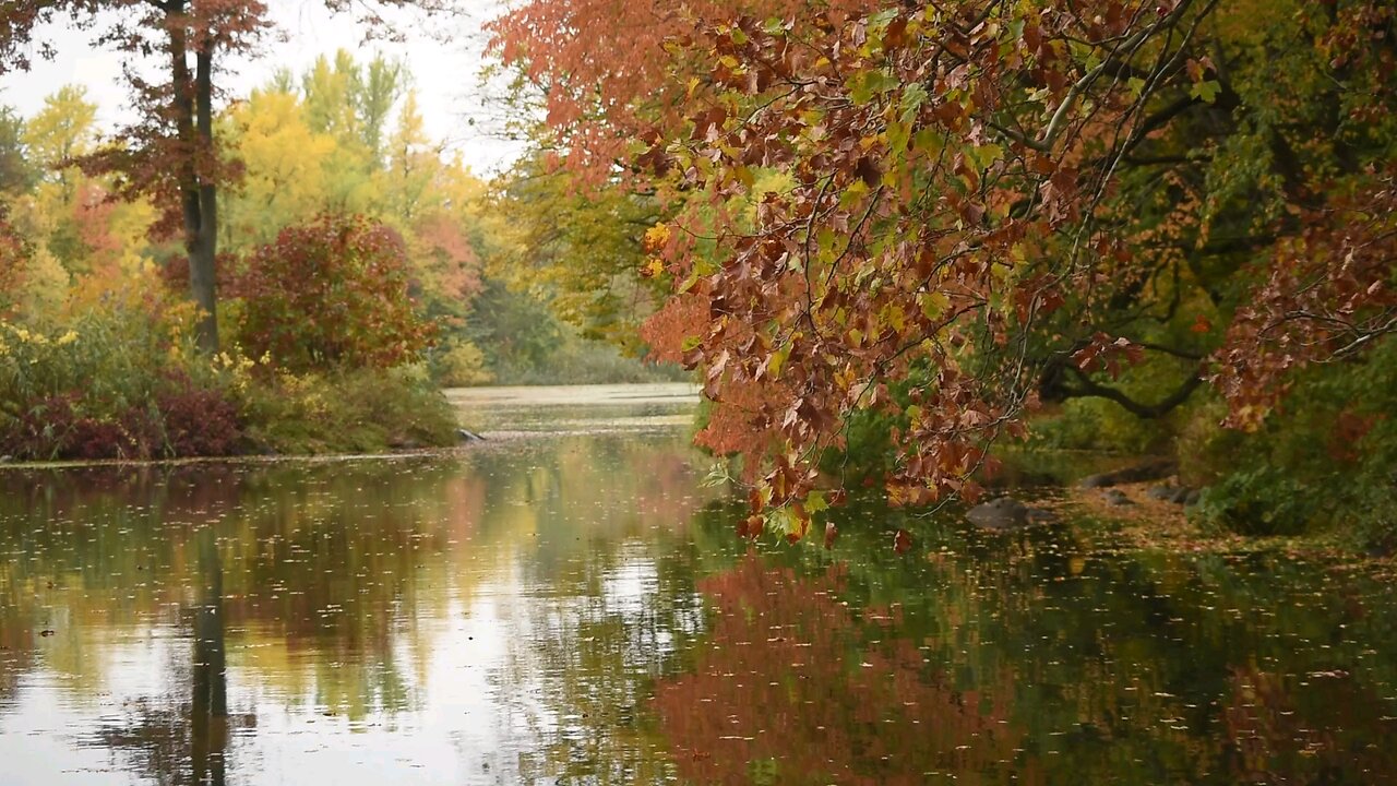 A Lake Surrounded By Trees With Autumn Leaves