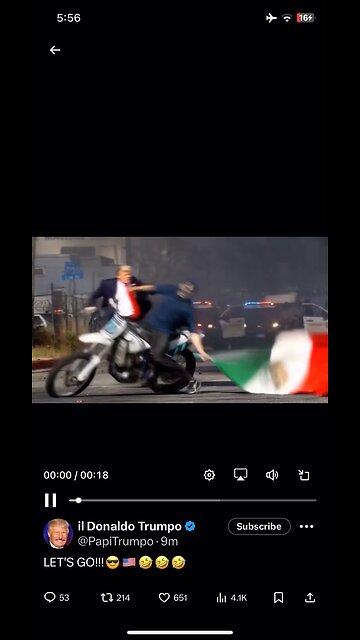 il Donaldo Trumpo : ICE protesters with foreign flag