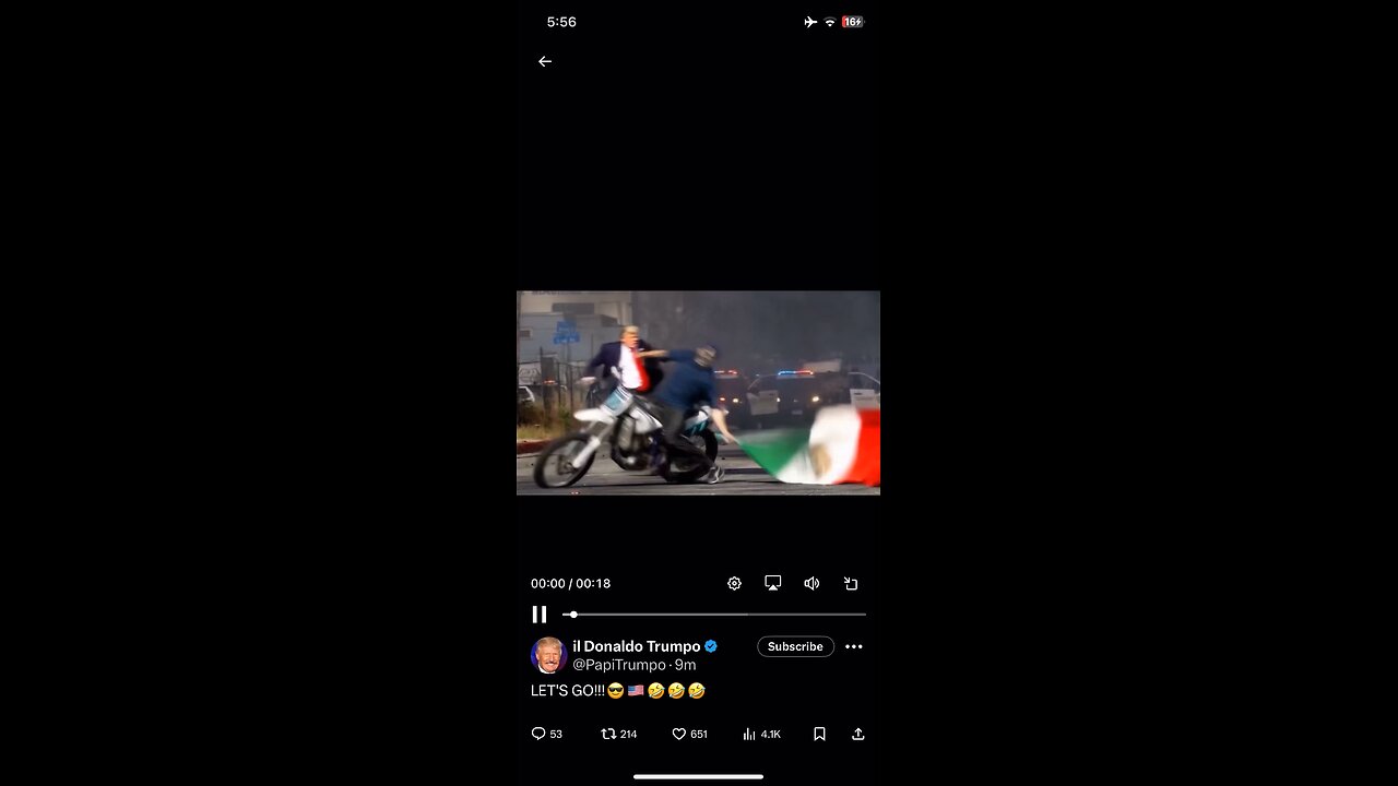 il Donaldo Trumpo : ICE protesters with foreign flag