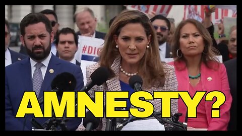Some Republicans Push for AMNESTY of Illegal Migrants?