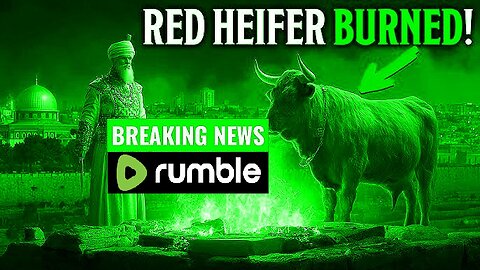 Ashes of The Red Heifer and The False Prophet