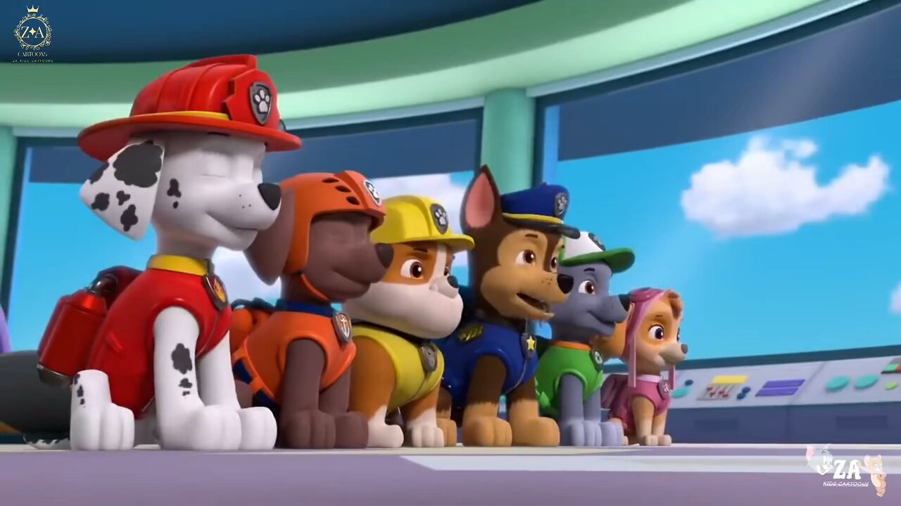 PAW Patrol Cartoons