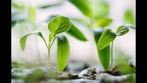 2026-01-01 # 40 Yeshua is King Ministries (accept your condition)