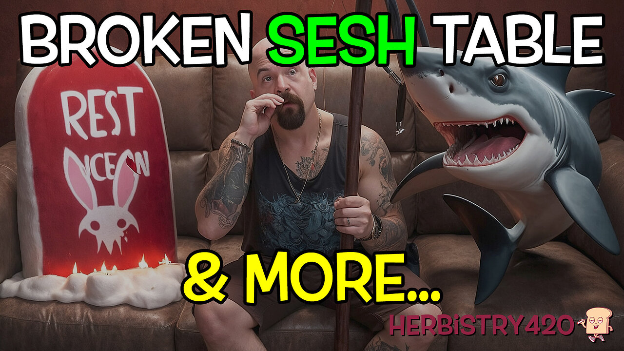 DEAD RABBIT?! Sesh Table Destroyed & Spearfishing | Chill Catch-Up Sesh